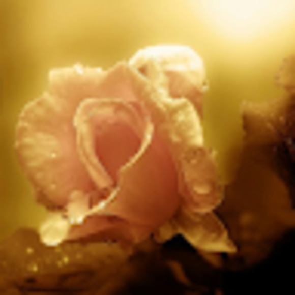 Meet your Posher, Julianna - Picture 1 of 1